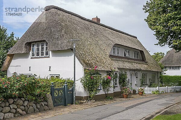 Reetgedecktes Friesenhaus  Föhr  Nordfriesische Insel  Nordfriesland  Schleswig-Holstein  Deutschland  Europa