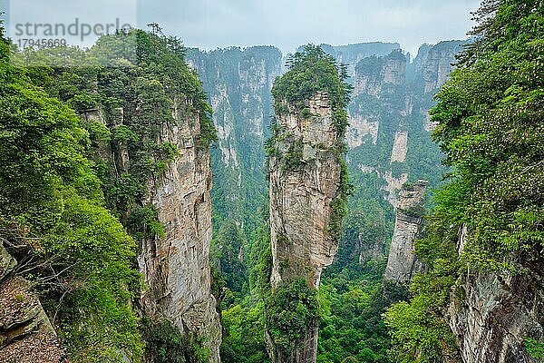 Berühmte Touristenattraktion in China  Avatar Hallelujah Mountain in Zhangjiajie Steinsäulen-Felsenberge in Wulingyuan  Hunan  China  Asien