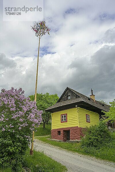 Bunt Bunt bemaltes Holzhaus und Maibaum im Dorf Vlkolinec  Unesco Welkulturerbe  Ru?omberok  ?ilinský kraj  Slowakei  Europa