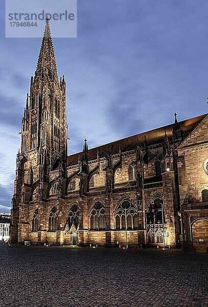 Freiburger Dom zur blauen Stunde  Freiburg  Deutschland  Europa