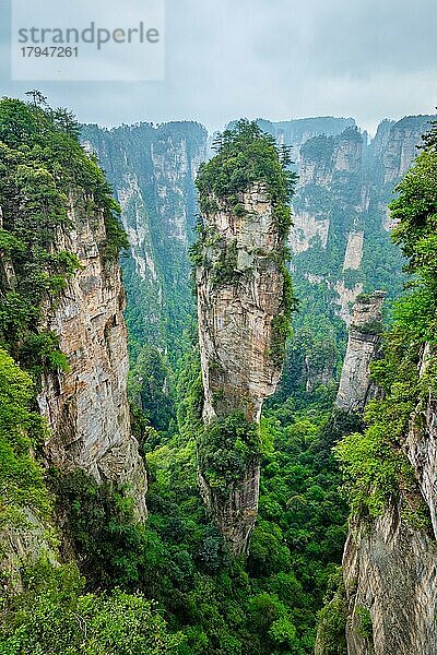 Berühmte Touristenattraktion in China  Avatar Hallelujah Mountain in Zhangjiajie Steinsäulen-Felsenberge in Wulingyuan  Hunan  China  Asien