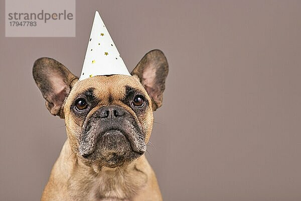 Porträt einer Französischen Bulldogge mit weißem Partyhut vor einem braunen Hintergrund mit Kopierraum. Silvester Hund