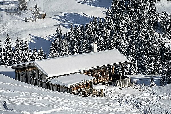 Skispuren im Tiefschnee  traditionelle Hütte  Skigebiet Bixen im Thale  Tirol  Österreich  Europa