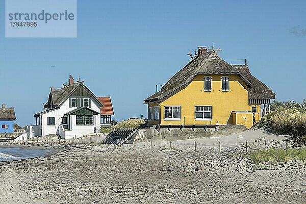 Reetdachhäuser am Strand  Halbinsel Graswarder  Heiligenhafen  Schleswig-Holstein  Deutschland  Europa