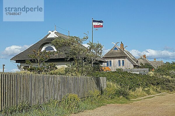 Reetdachhäuser  Halbinsel Graswarder  Heiligenhafen  Schleswig-Holstein  Deutschland  Europa