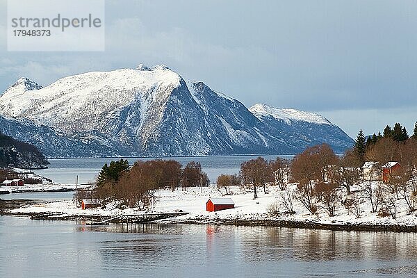 Atlantikküste  Winter  nördlich des Polarkreises  Norwegen  Europa