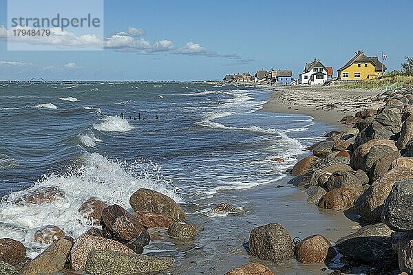 Reetdachhäuser am Strand  Fehmarnsundbrücke  Halbinsel Graswarder  Heiligenhafen  Schleswig-Holstein  Deutschland  Europa