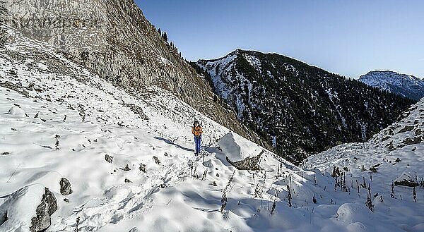 Bergsteiger auf Wanderweg im Winter mit Schnee  Weg zur Ammergauer Hochplatte  Ammergauer Alpen  Bayern  Deutschland  Europa