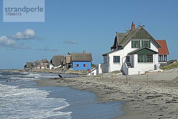 Reetdachhäuser am Strand  Halbinsel Graswarder  Heiligenhafen  Schleswig-Holstein  Deutschland  Europa