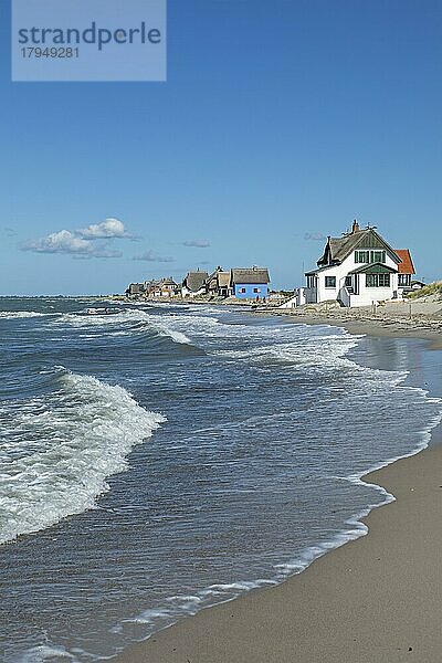 Reetdachhäuser am Strand  Halbinsel Graswarder  Heiligenhafen  Schleswig-Holstein  Deutschland  Europa