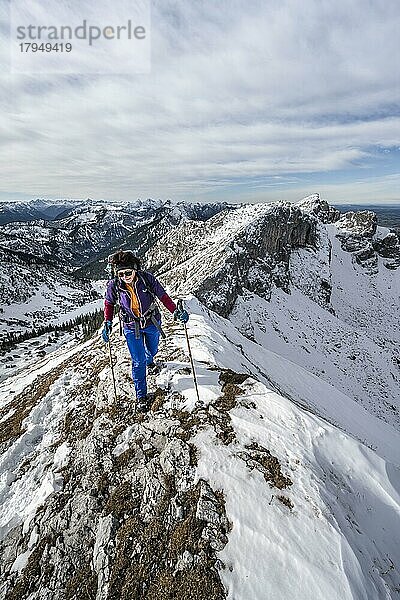 Bergsteigerin an einem felsigen verschneiten Grat  Wanderweg zur Ammergauer Hochplatte  Ausblick auf Bergpanorama  Hinten Gipfel Krähe  im Herbst  Ammergauer Alpen  Bayern  Deutschland  Europa