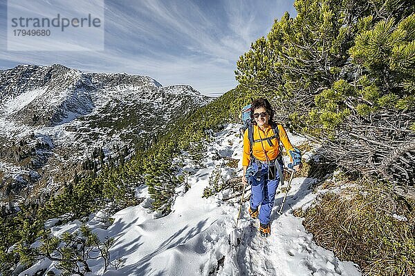 Wanderin zwischen Latschenkiefern  Wanderweg zur Weitalpspitz  im Hebrst mit Schnee  hinten felsiger Gipfel der Ammergauer Hochplatte  Ammergauer Alpen  Bayern  Deutschland  Europa