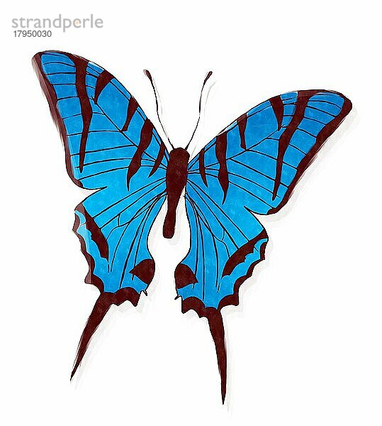 Blauer Schmetterling in Aquarellfarben auf weißem Hintergrund