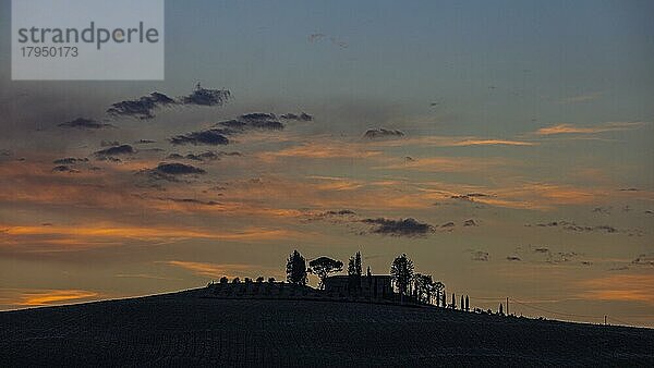 Landhaus auf Hügel mit Zypressen und Bäumen als Silhouette bei Sonnen Untergang  nahe Trequanda  Toskana  Italien  Europa