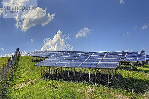 Eine Photovoltaikanlage  auch PV-Anlage mit Schutzzaun  bei Kempten  Allgäu  Bayern  Deutschland  Europa