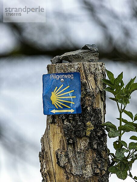 Wegweiser auf dem Pilgerweg  Deutschland  Europa