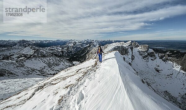 Bergsteigerin an einem felsigen verschneiten Grat  Wanderweg zur Ammergauer Hochplatte  Ausblick auf Bergpanorama  Hinten Gipfel Krähe  im Herbst  Ammergauer Alpen  Bayern  Deutschland  Europa