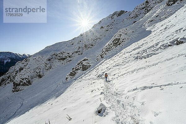 Bergsteiger auf Wanderweg im Winter mit Schnee  Weg zur Ammergauer Hochplatte  Ammergauer Alpen  Bayern  Deutschland  Europa