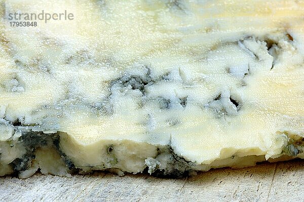 Blue Stilton oder einfach Stilton ist ein englischer Blauschimmelkäse aus pasteurisierter Kuhmilch mit mindestens 48-55 % Fett in der Trockenmasse  Käse  Lebensmittel