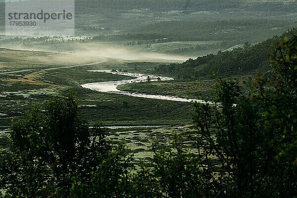 Grimse Fluss im frühen Morgennebel  Grimsdalen  Norwegen  Europa