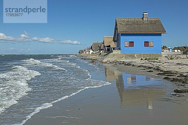 Reetdachhäuser am Strand  Fehmarnsundbrücke  Halbinsel Graswarder  Heiligenhafen  Schleswig-Holstein  Deutschland  Europa