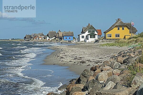 Reetdachhäuser am Strand  Halbinsel Graswarder  Heiligenhafen  Schleswig-Holstein  Deutschland  Europa