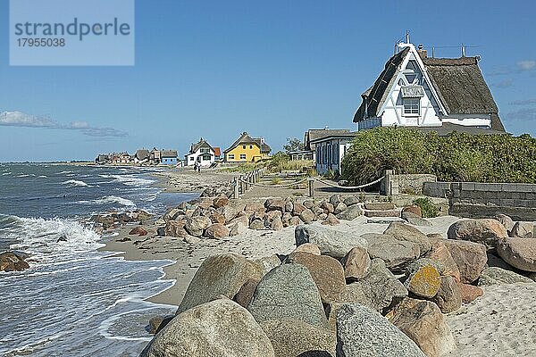 Reetdachhäuser am Strand  Halbinsel Graswarder  Heiligenhafen  Schleswig-Holstein  Deutschland  Europa