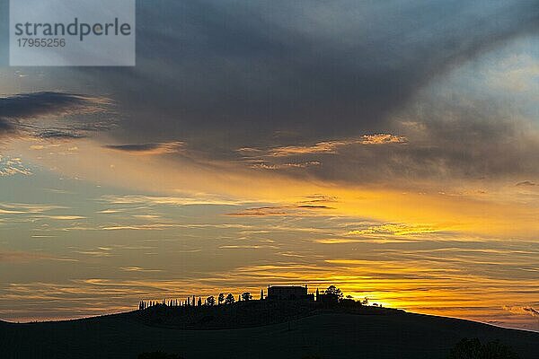 Landhaus auf Hügel mit Zypressen und Bäumen als Silhouette bei Sonnen Untergang  nahe Trequanda  Toskana  Italien  Europa