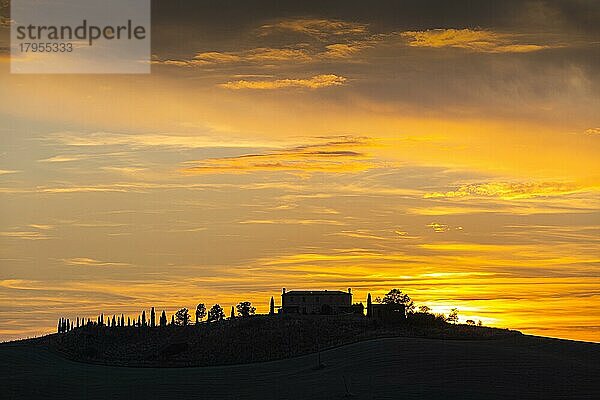 Landhaus auf Hügel mit Zypressen und Bäumen als Silhouette bei Sonnen Untergang  nahe Trequanda  Toskana  Italien  Europa