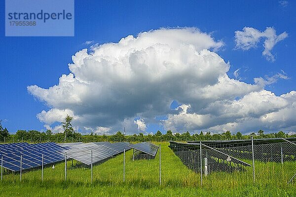 Haufenwolke  Cumulus (Cu)  und Photovoltaikanlage mit Schutzzaun  auch PV-Anlage  bei Kempten  Allgäu  Bayern  Deutschland  Europa