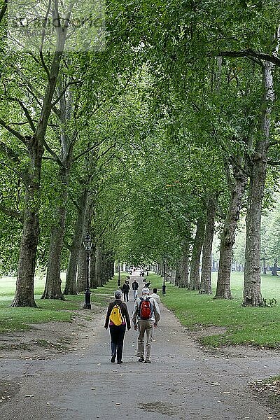 London  England  1. Oktober 2013. Menschen spazieren im Green Park am 1. Oktober 2013