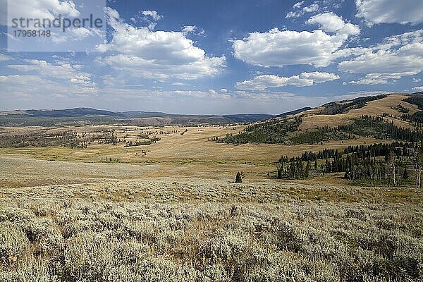 Ausblick von der Grand Loop Road zwischen Tower-Roosevelt und Canyon Village auf weite Landschaft  Yellowstone Nationalpark  Wyoming  USA  Nordamerika