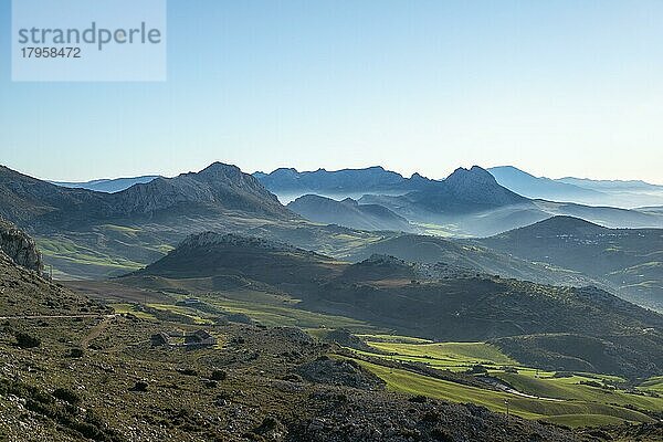 Hügelige grüne Berglandschaft  Sierra de las Cabras  Provinz Albacete  Andalusien  Spanien  Europa