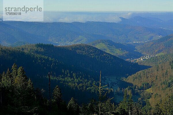 Nord  Schwarzwald bei Kaltenbronn  Blick in Richtung Murgtal  Nebelwand