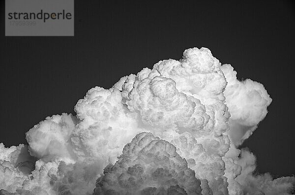 Cumulus Wolken (Cumulus) vor einem Gewitter  Schwarzweißaufnahme  Bern  Schwei Wolken vor einem Gewitter  Schwarzweißaufnahme  Bern  Schweiz  Europa