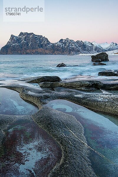 Felsen am Strand  Uttakleiv bei Abendlicht  Winter  Vestvågøya  Lofoten  Norwegen  Europa