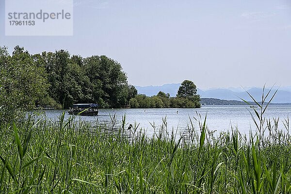 Blick zur Roseninsel in der Feldafinger Bucht  Starnberger See  bei Feldafing  Oberbayern  Bayern  Deutschland  Europa