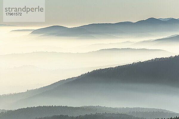 Silhouetten von Bergen im Nebelmeer im Winter. Vogesen  Frankreich  Europa