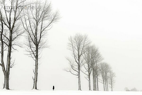 Einsame Frau läuft in winterlicher Baum Allee  schwarzweiß  Kaufbeuren  Ostallgäu  Bayern  Deutschland  Europa