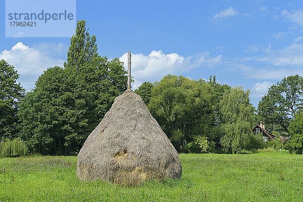 Traditioneller Spreewälder Heuballen  Spreewald  Brandenburg  Deutschland  Europa