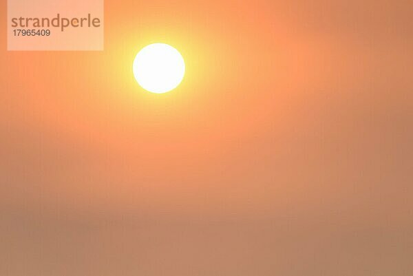Sonne am eingetrübten Himmel  kurz vor Sonnenuntergang  Nordrhein-Westfalen  Deutschland  Europa