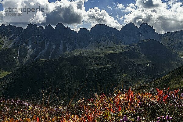 Gipfelpanorama der Kalkkögel im Gegenlicht  mit dramatischen Wolken und bunten Herbstblättern im Vordergrund  Sellrain  Innsbruck  Tirol  Österreich  Europa