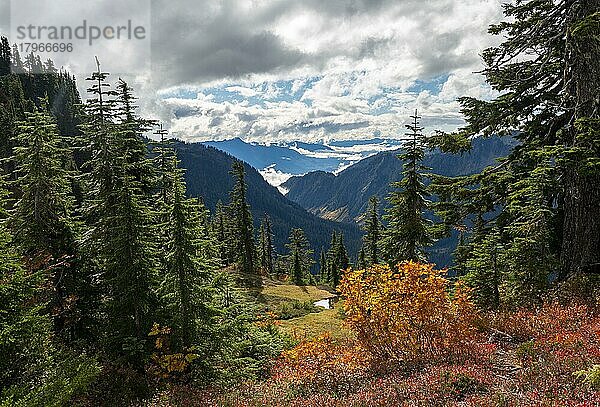 Blick auf wolkenverhangene Berglandschaft  im Herbst  Mt. Baker-Snoqualmie National Forest  Washington  USA  Nordamerika