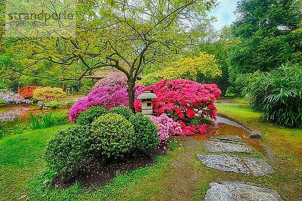 Stone lantern in Japanese garden with blooming Park Clingendael  The Hague  Netherlands