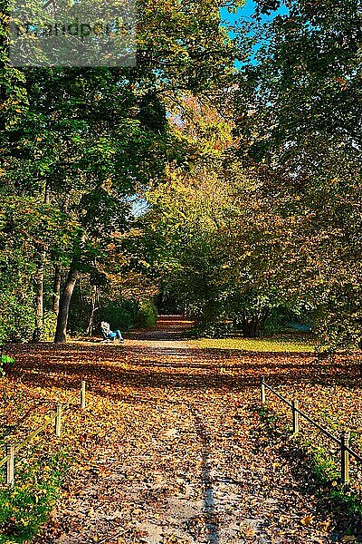Golden autumn fall October in famous Munich relax place  Englishgarten with people pedestrians and cyclists  English garden with fallen leaves and golden sunlight  Munchen