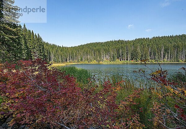 Marion Lake  herbstliche Landschaft  Grand-Teton-Nationalpark  Oregon  USA  Nordamerika