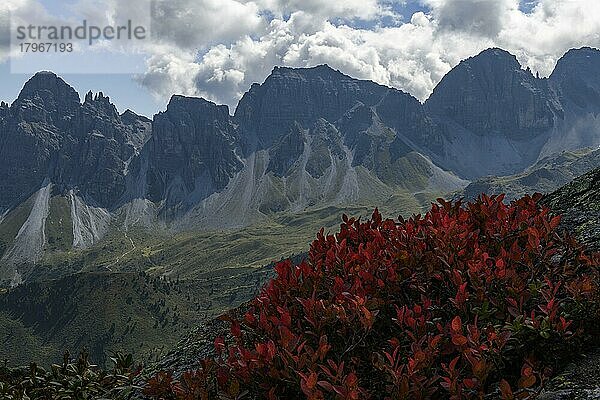 Gipfelpanorama der Kalkkögel im Gegenlicht  mit dramatischen Wolken und bunten Herbstblättern im Vordergrund  Sellrain  Innsbruck  Tirol  Österreich  Europa