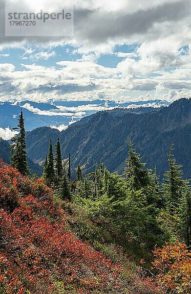 Blick auf wolkenverhangene Berglandschaft  im Herbst  Mt. Baker-Snoqualmie National Forest  Washington  USA  Nordamerika