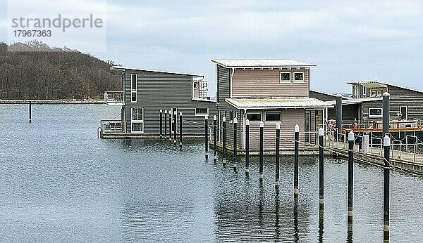 Pfahlbauten als Ferienhäuser mit Bootsliegeplatz  Tiny House  Yachthafen  Lauterbach  Rügen  Mecklenburg-Vorpommern  Deutschland  Europa