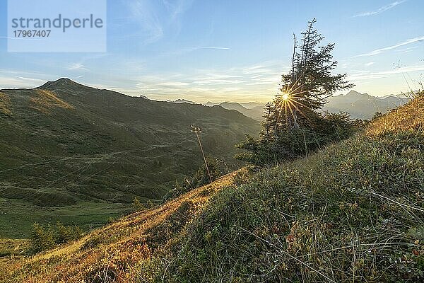 Sonnenaufgang auf dem Portlakopf im Herbst  Damüls  Bregenzerwald  Vorarlberg  Österreich  Europa